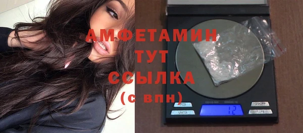 винт Абаза