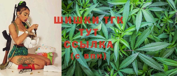 винт Абаза