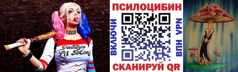 дарнет шоп  Протвино  Галлюциногенные грибы ЛСД 