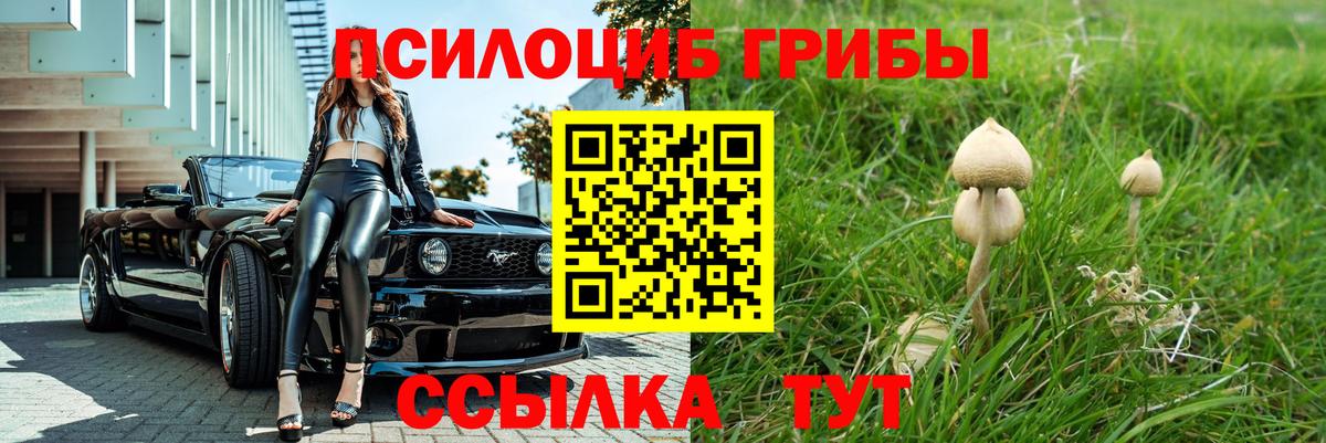 Протвино  Псилоцибиновые грибы ЛСД  Вход с VPN 